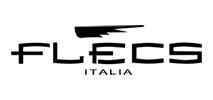 Flecs Logo